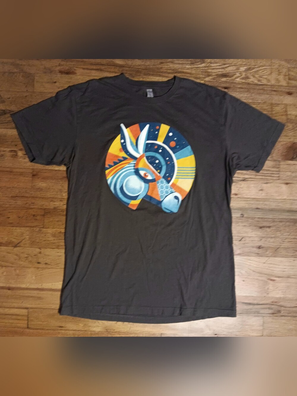Gov't Mule Spring 2023 t-shirt Allman Brothers cities dates on back guitar rock